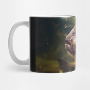 fisheye Mug